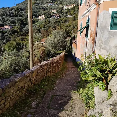 Conchiglia Magica Cinque Terre *