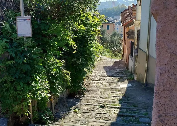 Conchiglia Magica Cinque Terre *